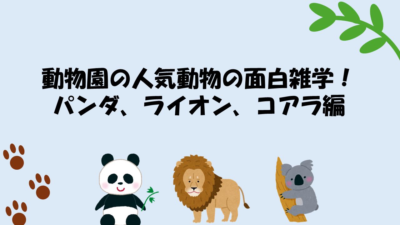 動物園の人気動物の面白雑学！パンダ、ライオン、コアラ編